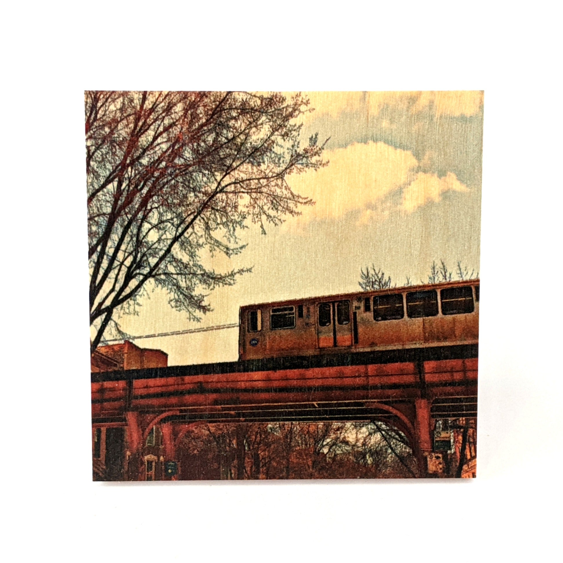 Coaster - Chicago - El Train